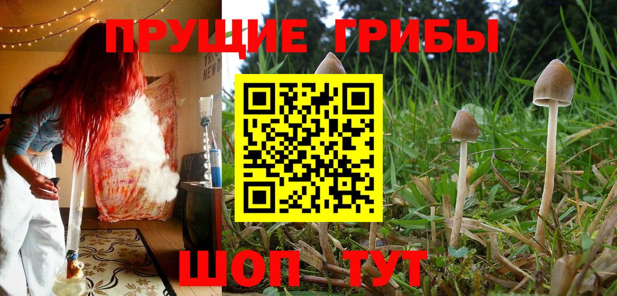 Псилоцибиновые грибы мицелий Якутск