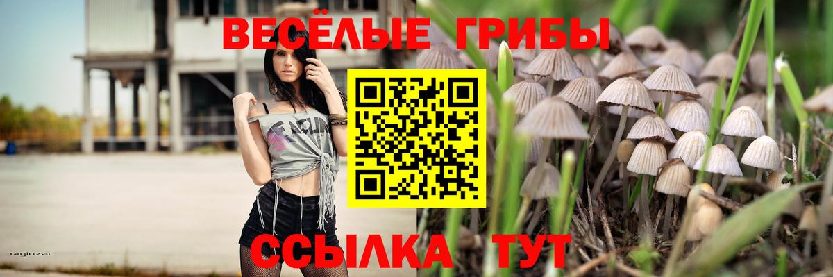 Якутск  Галлюциногенные грибы Magic Shrooms  Вход с VPN  Галлюциногенные грибы Psilocybe 